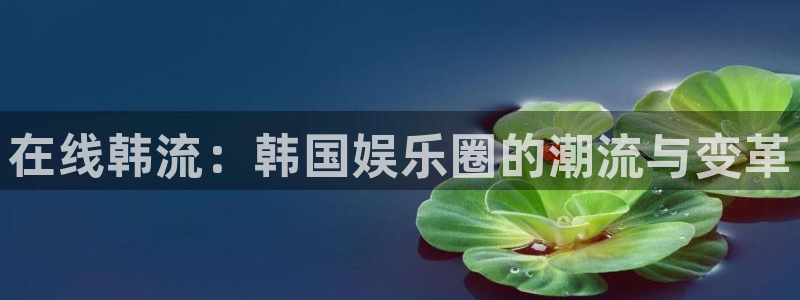 星空娱乐游戏：在线韩流：韩国娱乐圈的潮流与变革