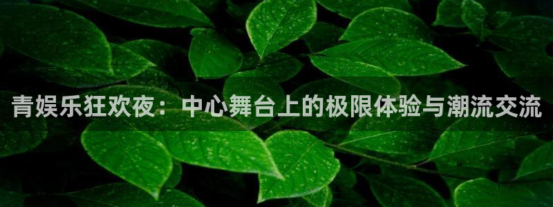 星空娱乐网址：青娱乐狂欢夜：中心舞台上的极限体验与潮流交流