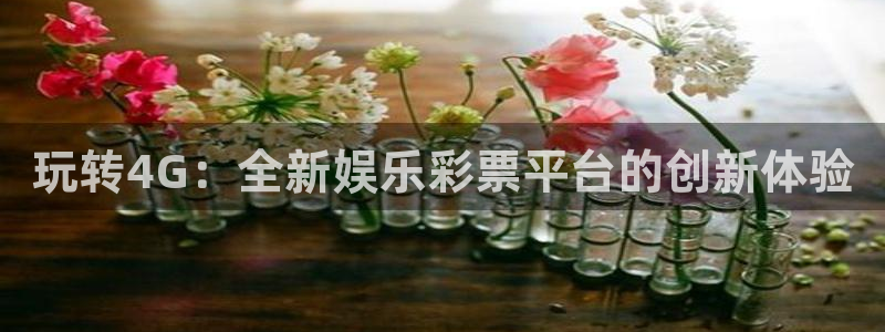 星空娱乐游戏：玩转4G：全新娱乐彩票平台的创新体验
